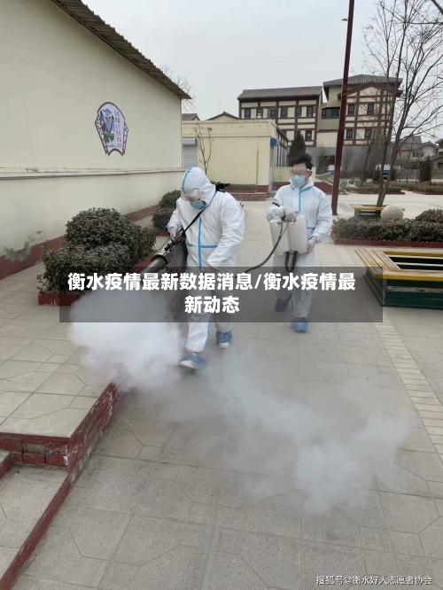 衡水疫情最新数据消息/衡水疫情最新动态-第2张图片