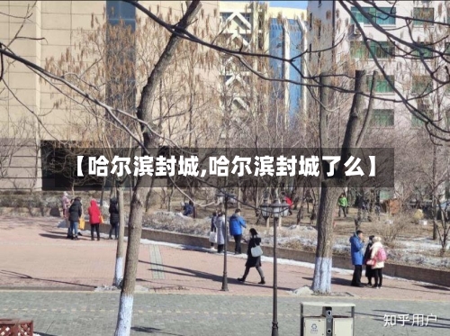 【哈尔滨封城,哈尔滨封城了么】-第3张图片