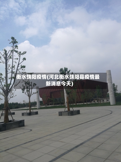 衡水饶阳疫情(河北衡水饶阳县疫情最新消息今天)