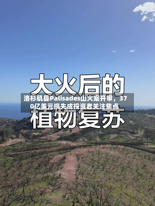 洛杉矶县Palisades山火案开审，370亿美元损失成投资者关注焦点-第2张图片
