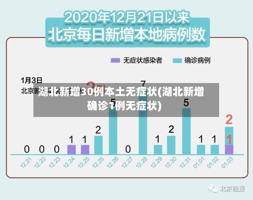 湖北新增30例本土无症状(湖北新增确诊1例无症状)-第2张图片