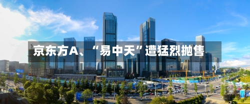 京东方A、“易中天”遭猛烈抛售