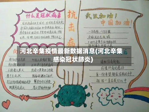 河北辛集疫情最新数据消息(河北辛集感染冠状肺炎)