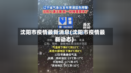 沈阳市疫情最新消息(沈阳市疫情最新动态)-第2张图片