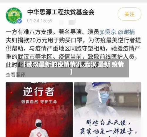 【武汉最新的疫情情况,武汉 最新 疫情】-第2张图片