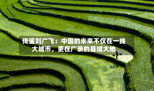 传鉴刘广飞：中国的未来不仅在一线大城市	，更在广袤的县域大地-第2张图片