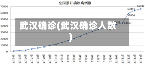 武汉确诊(武汉确诊人数)
