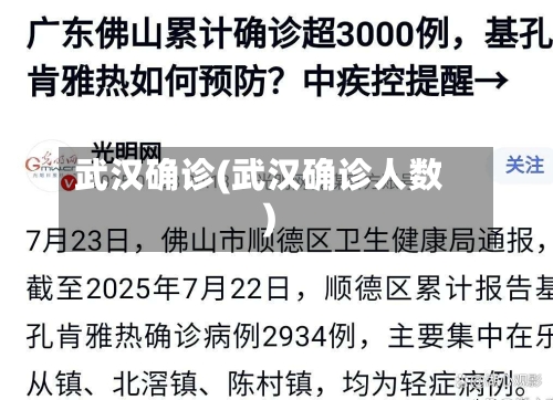 武汉确诊(武汉确诊人数)-第2张图片