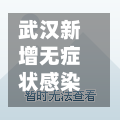 武汉新增无症状感染者8例(武汉新增3例确诊12例无症状)-第2张图片