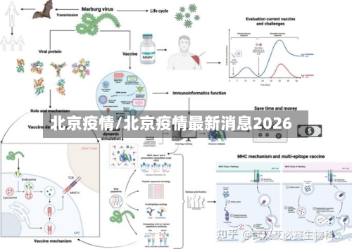 北京疫情/北京疫情最新消息2026
