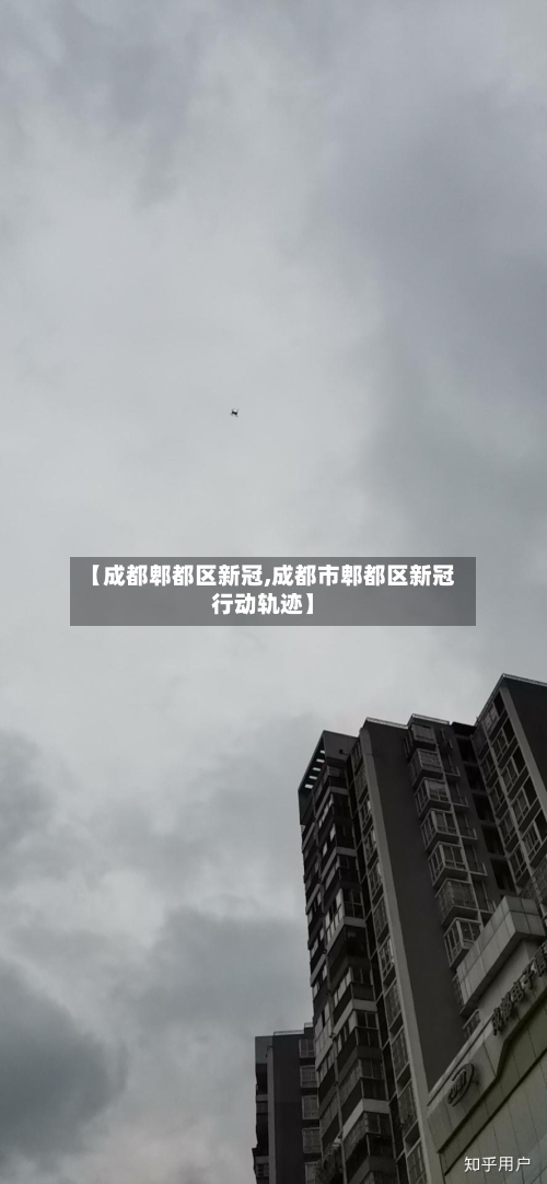 【成都郫都区新冠,成都市郫都区新冠行动轨迹】-第3张图片