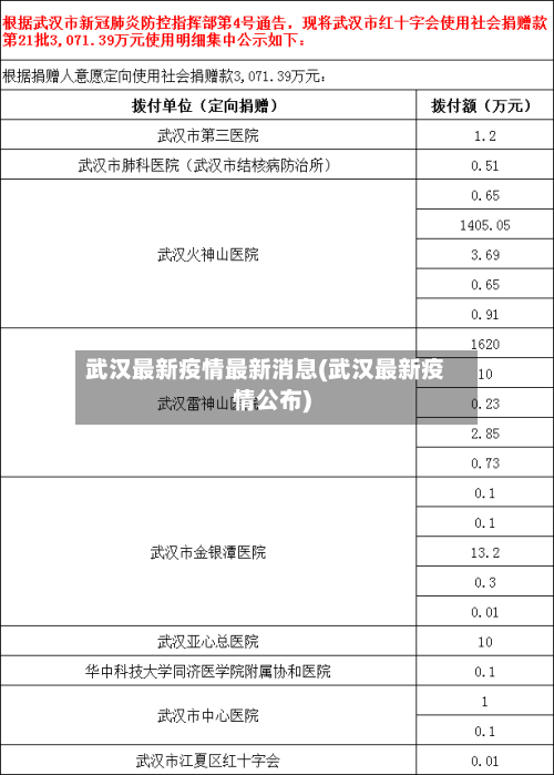 武汉最新疫情最新消息(武汉最新疫情公布)