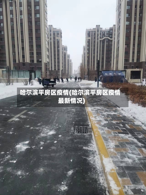 哈尔滨平房区疫情(哈尔滨平房区疫情最新情况)-第3张图片