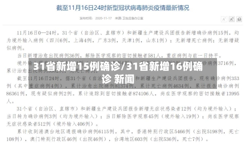 31省新增15例确诊/31省新增16例确诊 新闻