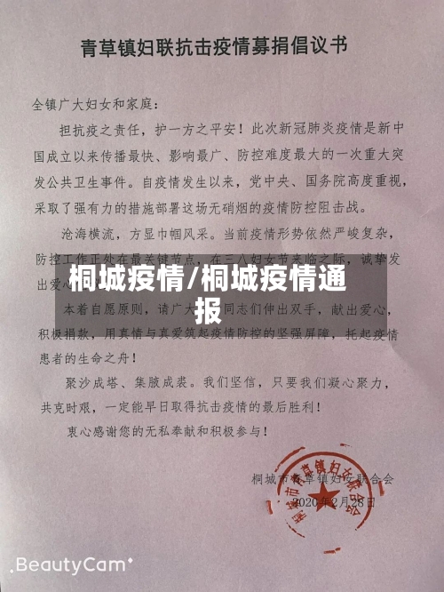 桐城疫情/桐城疫情通报-第2张图片
