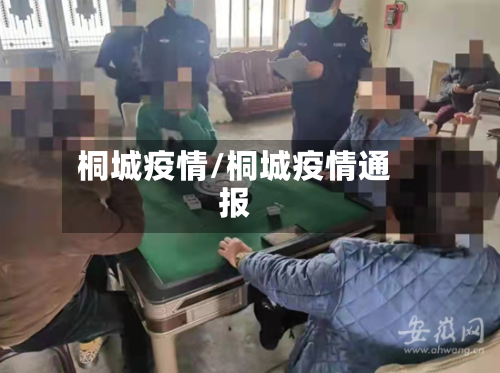 桐城疫情/桐城疫情通报-第3张图片