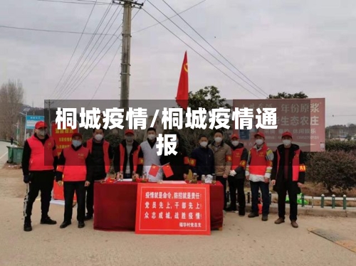 桐城疫情/桐城疫情通报