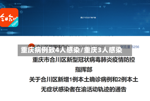 重庆病例致4人感染/重庆3人感染-第2张图片