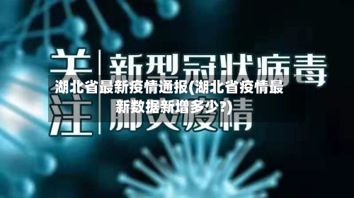 湖北省最新疫情通报(湖北省疫情最新数据新增多少?)-第2张图片
