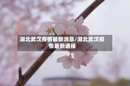 湖北武汉疫情最新消息/湖北武汉疫情最新通报-第2张图片