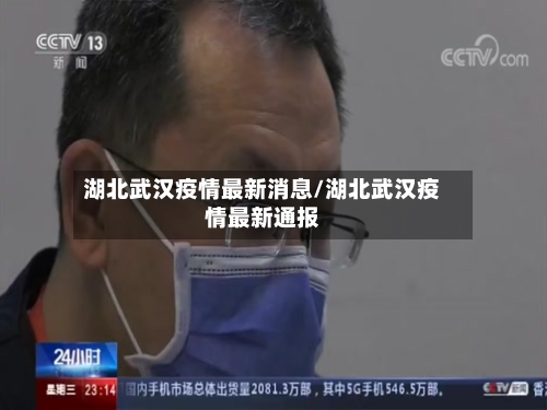 湖北武汉疫情最新消息/湖北武汉疫情最新通报-第3张图片