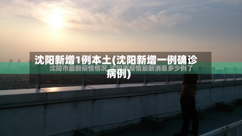 沈阳新增1例本土(沈阳新增一例确诊病例)-第3张图片