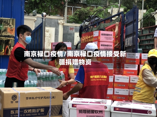 南京禄口疫情/南京禄口疫情接受新疆捐赠物资-第2张图片