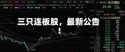 三只连板股，最新公告！-第2张图片