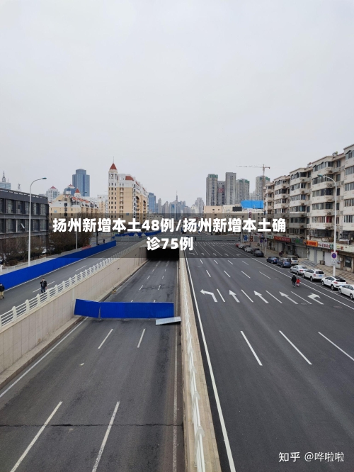 扬州新增本土48例/扬州新增本土确诊75例-第3张图片