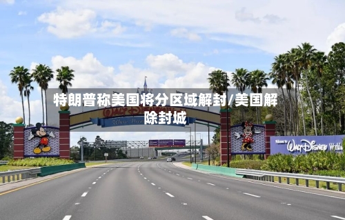 特朗普称美国将分区域解封/美国解除封城-第3张图片