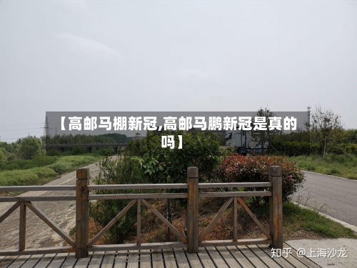 【高邮马棚新冠,高邮马鹏新冠是真的吗】-第2张图片