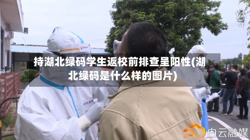 持湖北绿码学生返校前排查呈阳性(湖北绿码是什么样的图片)-第2张图片