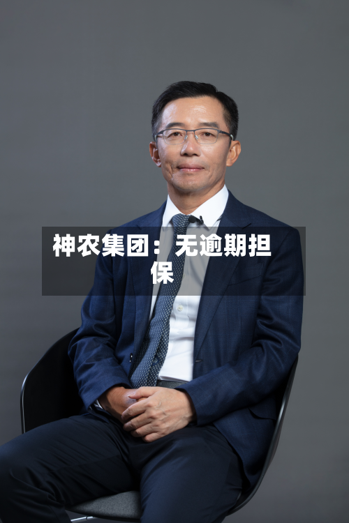 神农集团：无逾期担保-第2张图片