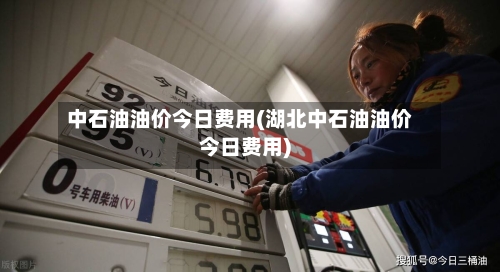 中石油油价今日费用(湖北中石油油价今日费用)-第2张图片