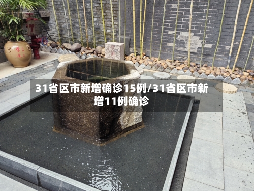 31省区市新增确诊15例/31省区市新增11例确诊