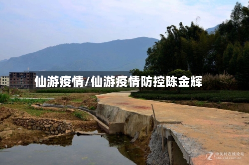 仙游疫情/仙游疫情防控陈金辉
