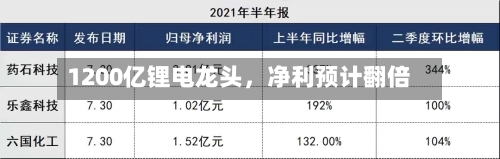 1200亿锂电龙头	，净利预计翻倍-第2张图片