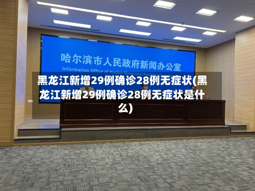黑龙江新增29例确诊28例无症状(黑龙江新增29例确诊28例无症状是什么)-第3张图片