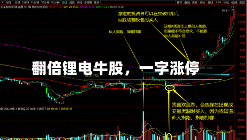 翻倍锂电牛股，一字涨停-第3张图片