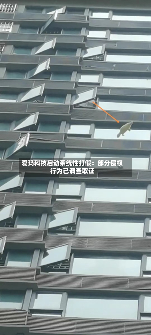 爱玛科技启动系统性打假：部分侵权行为已调查取证-第2张图片