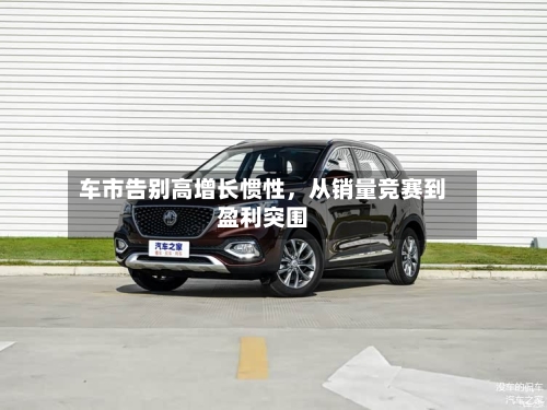 车市告别高增长惯性，从销量竞赛到盈利突围-第3张图片