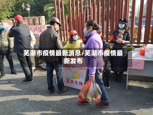 芜湖市疫情最新消息/芜湖市疫情最新发布-第3张图片