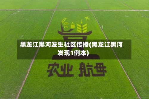 黑龙江黑河发生社区传播(黑龙江黑河发现1例本)-第3张图片