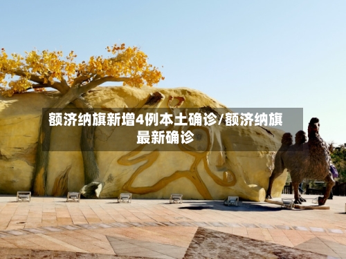 额济纳旗新增4例本土确诊/额济纳旗最新确诊-第2张图片