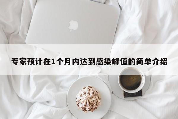 专家预计在1个月内达到感染峰值的简单介绍